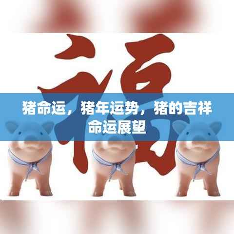 猪年运势展望,猪的吉祥命运与事业展望