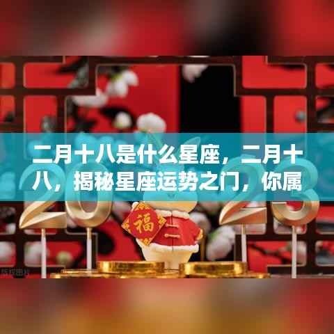 二月十八星座揭秘,运势之门开启,探寻你的星座归属