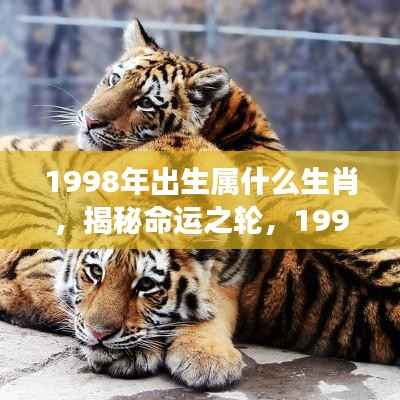 鸟飞兔走 第5页