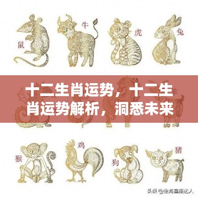 池鱼笼鸟 第4页