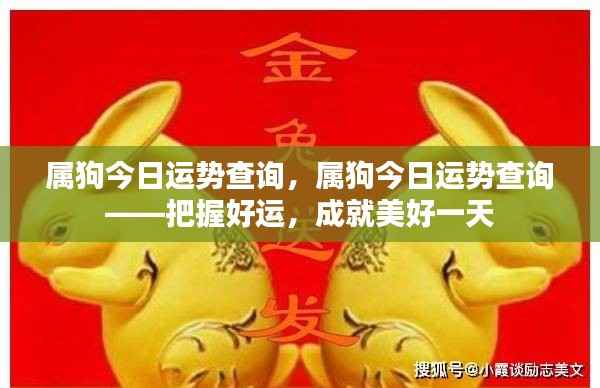 属狗今日运势详解,把握好运,开启美好一天
