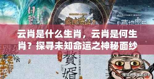 揭秘云肖生肖之谜,探寻未知命运中的神秘面纱