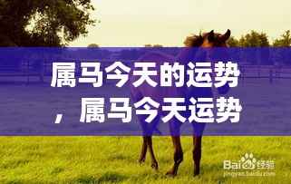 属马今日运势大吉,事业飞跃有望实现