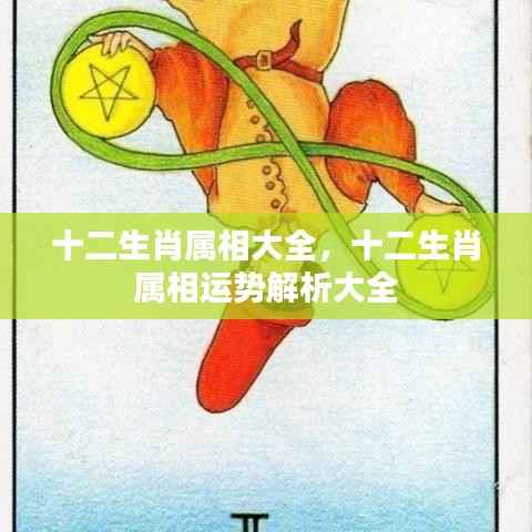 朝乾夕惕 第5页