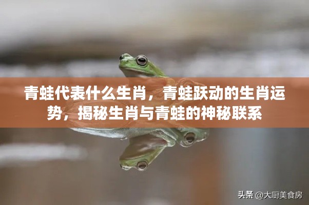 揭秘青蛙代表的生肖与神秘运势联系,生肖与青蛙跃动的奥秘探索