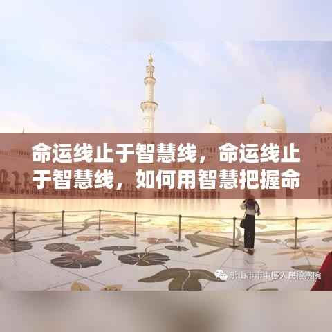 智慧引领命运,掌握命运线,驾驭人生航程