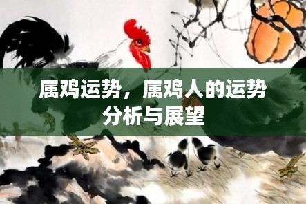 属鸡人的运势展望与运势分析