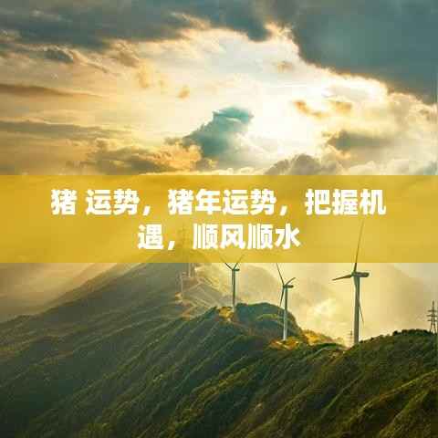 猪年运势揭秘,把握机遇,顺风顺水,开启好运之旅!