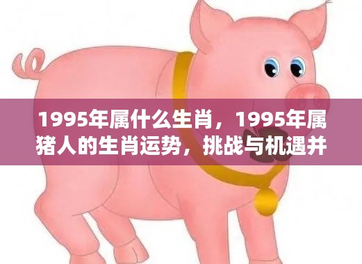 1995年属猪的生肖运势,挑战与机遇并存