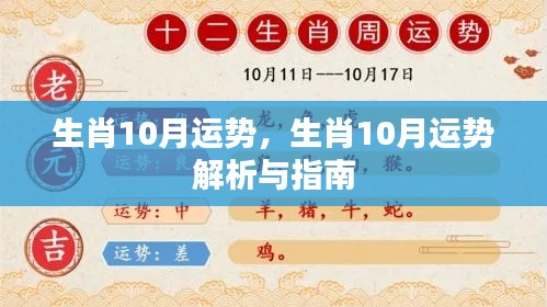 生肖运势解析,十月运势概览与指南