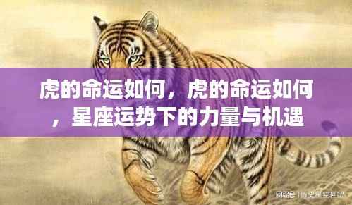 虎年星座运势下的力量与机遇,命运如何掌握在自己手中?