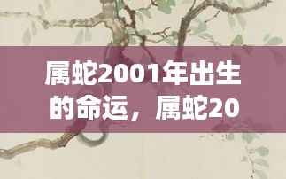属蛇2001年出生命运展望,星象指引下的未来轮廓揭秘