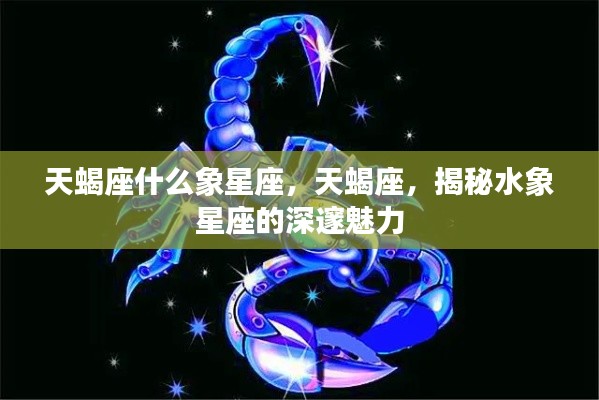 揭秘天蝎座,水象星座的深邃魅力探索
