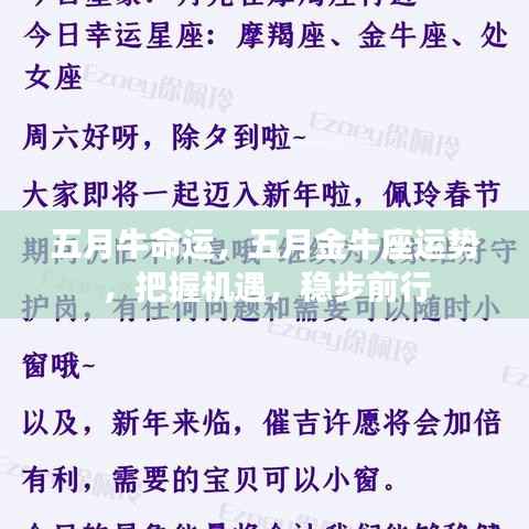 五月金牛座运势展望,把握机遇,命运稳步前行