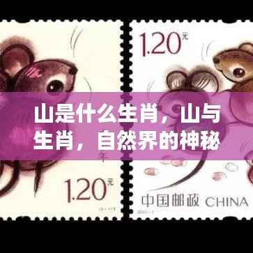 山与生肖的奇妙交汇，探索自然界的神秘联系