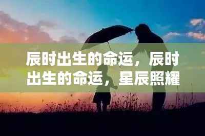 鸟之将死 第4页