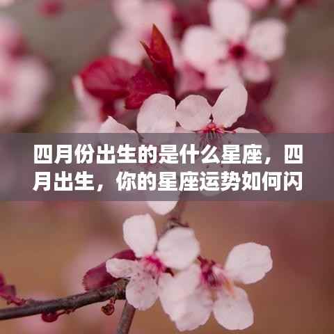 温文尔雅 第3页