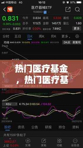 热门医疗基金的投资趋势与机遇分析