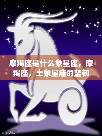 摩羯座,土象星座的坚韧与稳重特性探究