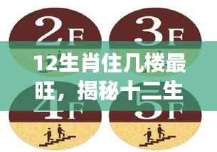 揭秘十二生肖最旺楼层,生肖与楼层风水奥秘大解析