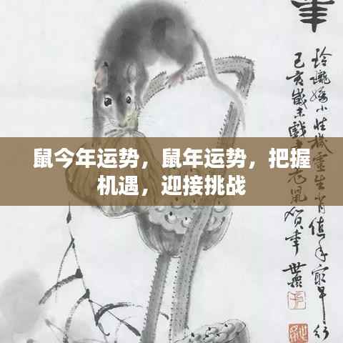 鼠年运势展望,把握机遇,迎接挑战