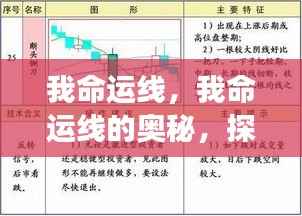 探寻星座运势中的生命轨迹,我命运线的奥秘