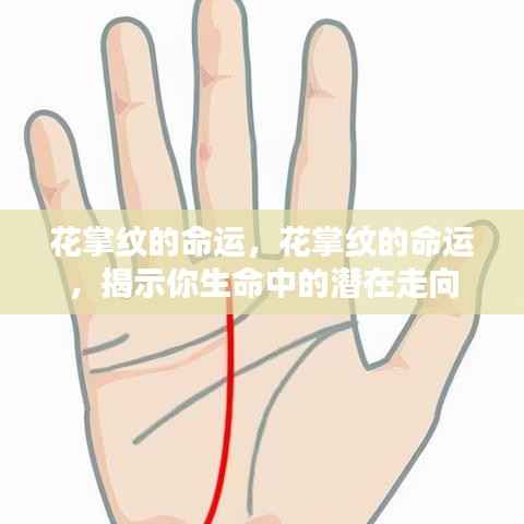 花掌纹命运揭秘,揭示生命潜在走向的神秘纹路