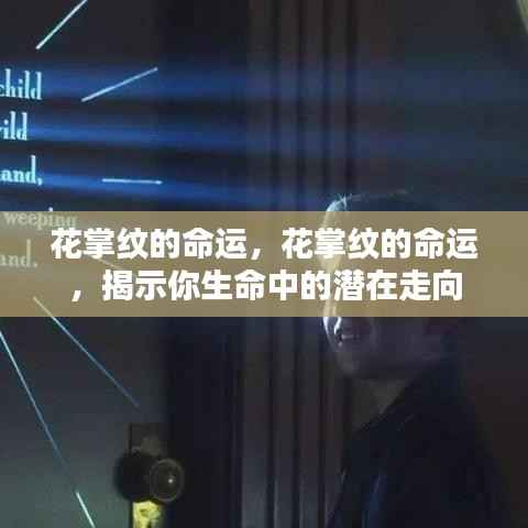 花掌纹命运揭秘,揭示生命潜在走向的神秘纹路