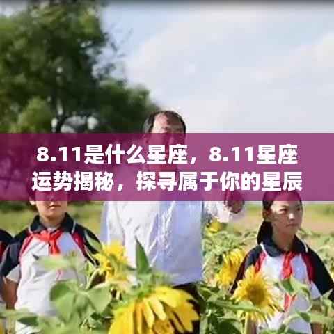 11星座运势揭秘,探寻属于你的星辰轨迹,掌握未来运势走向!