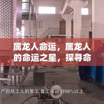 属龙人的命运轨迹,独特优势与挑战探寻