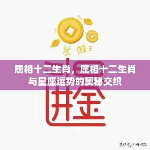 属相十二生肖与星座运势交织的奥秘探索
