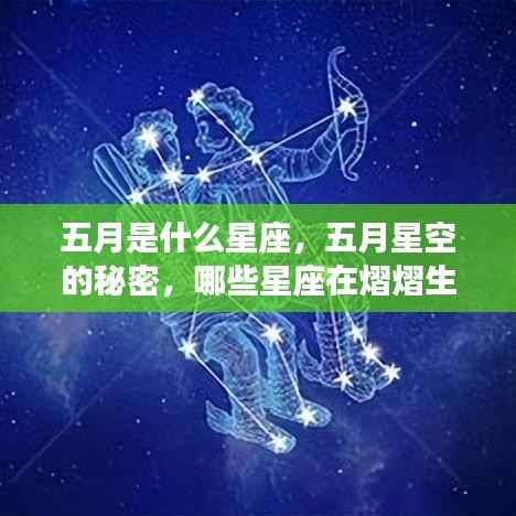 五月星空下的星座秘密,熠熠生辉的星座探寻之旅