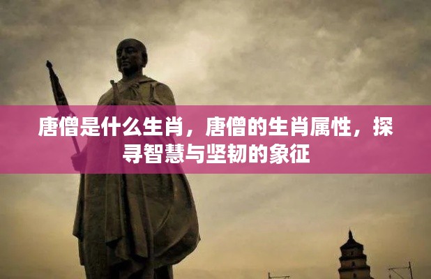 唐僧的生肖属性揭秘,智慧与坚韧的象征探索