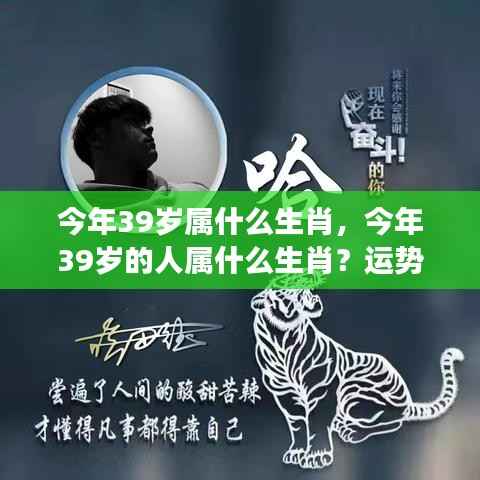揭秘39岁生肖运势与性格特质,全面解析你的未来展望