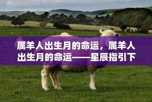 属羊人出生月的命运详解,星辰指引下的生命轨迹