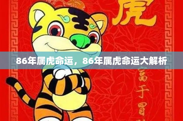 86年属虎命运深度解析,揭秘命运走势与个性特质