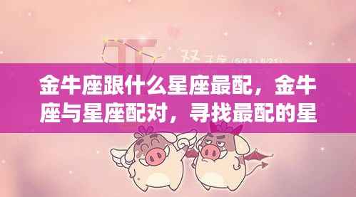 金牛座最佳星座配对伴侣,寻找最配的星座伴侣