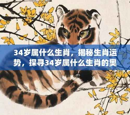 揭秘生肖运势,探寻属虎人在34岁的奥秘与未来展望
