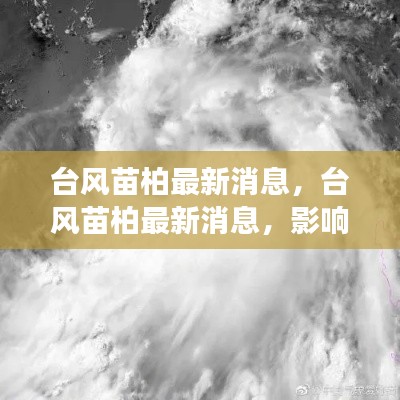 劳燕分飞 第4页