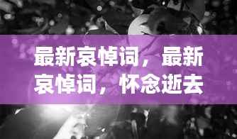 最新哀悼词,怀念逝去的永恒,深情悼念之情表达