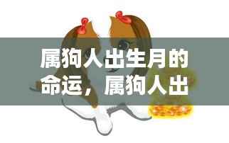 属狗人出生月的命运解析,星辰指引下的生命轨迹