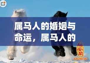 利官近贵 第3页