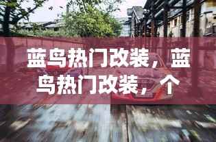 蓝鸟热门改装,个性风尚与驾驶激情的交融之选