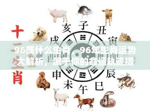 揭秘生肖运势,属鼠人的命运轨迹与运势大解析(1996年出生)