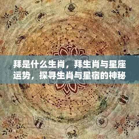 探寻生肖之谜,拜的生肖与星座运势的神秘联系