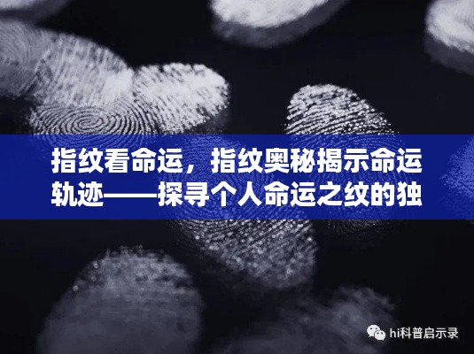 指纹奥秘探寻命运轨迹,命运之纹的独特印记