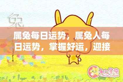 属兔人每日运势展望,把握好运,迎接美好时刻