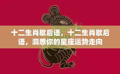 十二生肖歇后语,洞悉星座运势走向的秘密