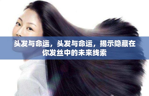 头发与命运,探寻发丝中的未来线索