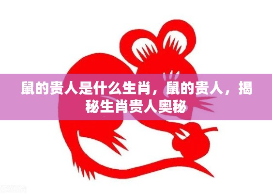 揭秘生肖鼠的贵人奥秘,谁是鼠的贵人?